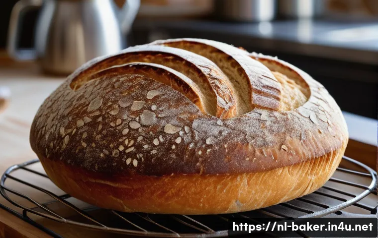 제과제빵 이론 과목 핵심 정리 관련 이미지 1